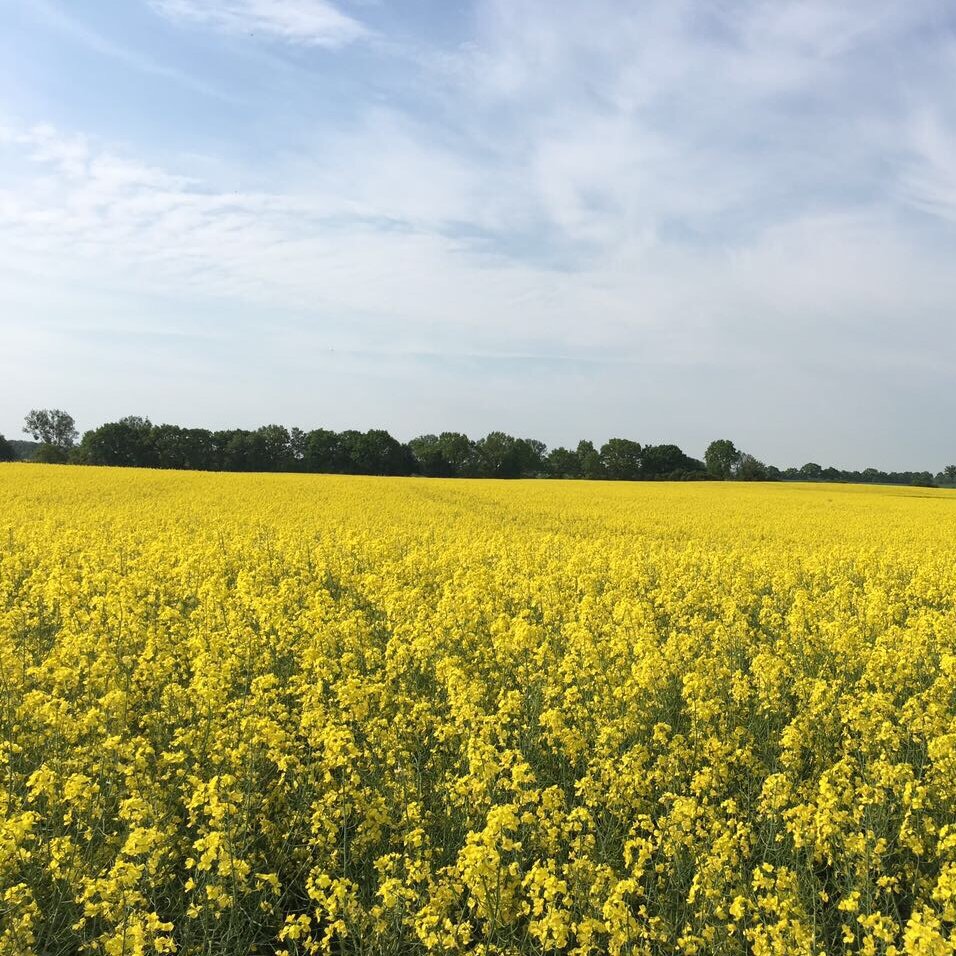 Müritz, Mecklenburg-Vorpommern