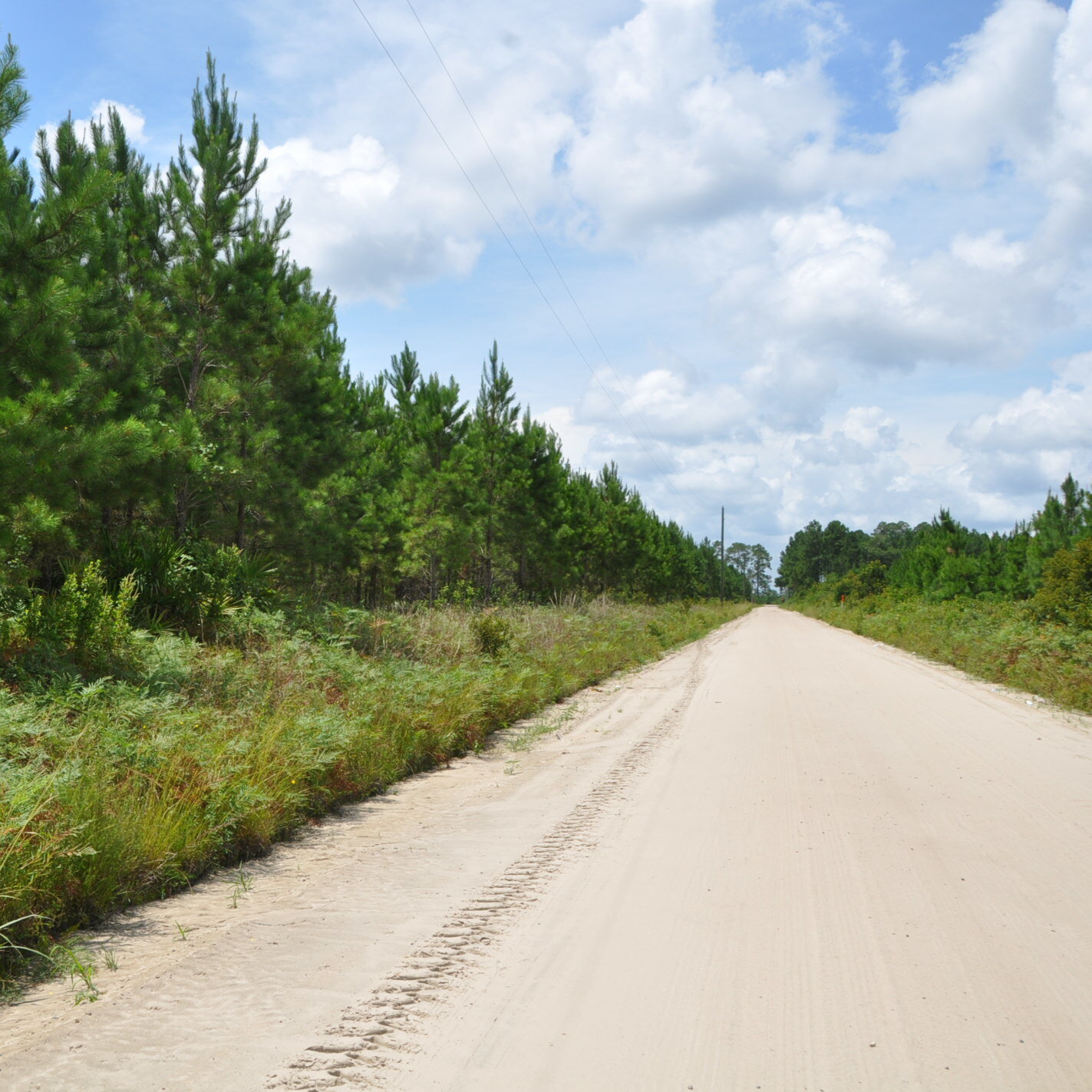South Carolina, USA