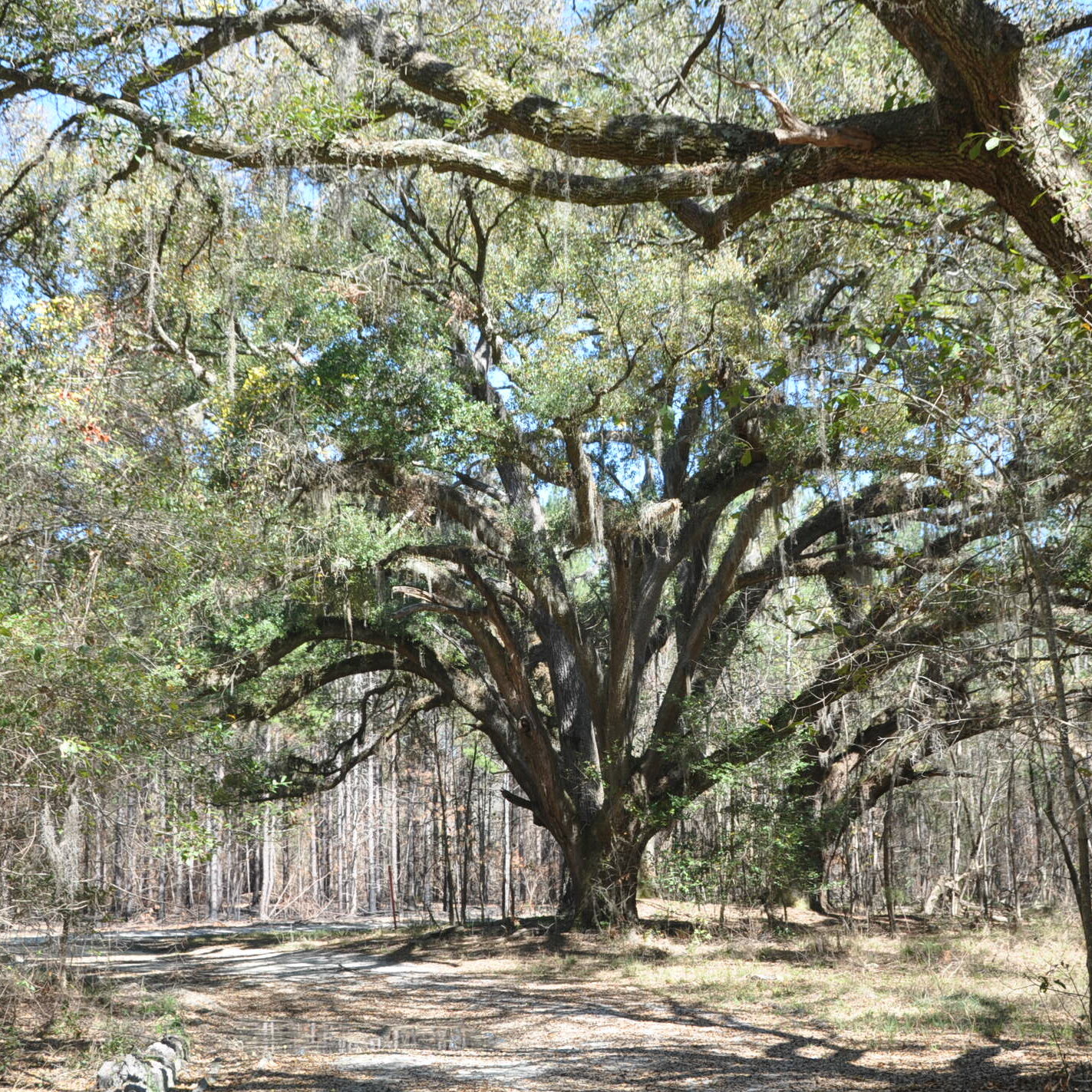 South Carolina, USA